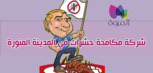 شركة مكافحة حشرات فى المدينة المنورة