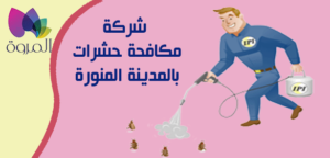 شركة المروه للخدمات المنزلية