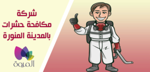 شركة مكافحة حشرات بالمدينة المنورة