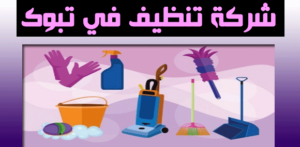شركة تنظيف فى تبوك
