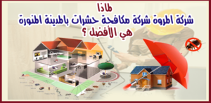 افضل شركة مكافحة حشرات بالمدينة المنورة