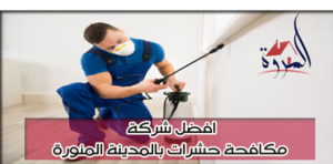 أفضل شركة مكافحة حشرات بالمدينة المنورة